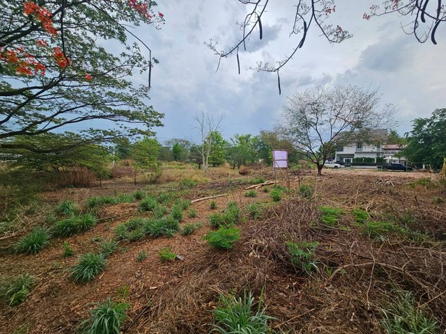 ขายที่ดินสวย 102 ตร.วา  ใกล้มหาวิทยาลัยราชภัฏเลย วิทยาเขตขอนแก่น  เมืองขอนแก่น