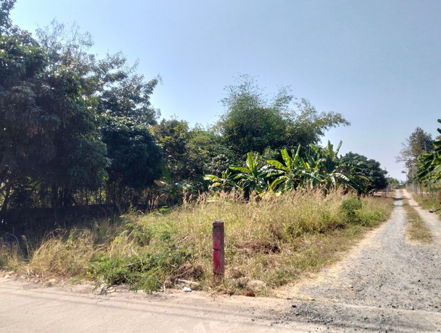 ขายที่ดิน 7-2-90ไร่ 30.3ลบ.ถนนคลองชลประทาน น้ำประปา ไฟฟ้า เยื้องวัดโชคชัยป่ายางงาม ต.ป่าป้อง อ.ดอยสะเก็ด เชียงใหม่