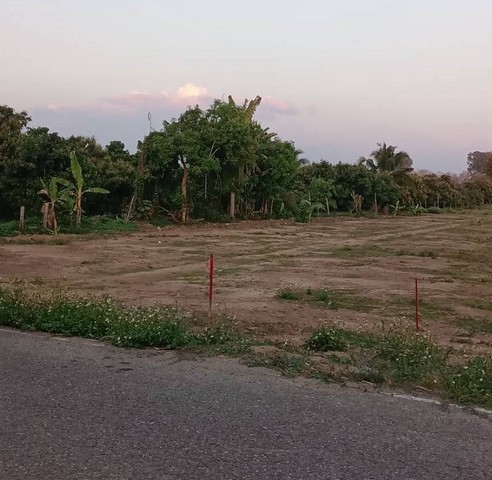 ขายที่ดินแบ่งแปลง 54ตรว. 378,000บ. ผ่อนได้ ฟรีโอน ถนน น้ำประปา ไฟฟ้า ใกล้วัดไร่ดง ต.ขัวมุง อ.สารภี เชียงใหม่