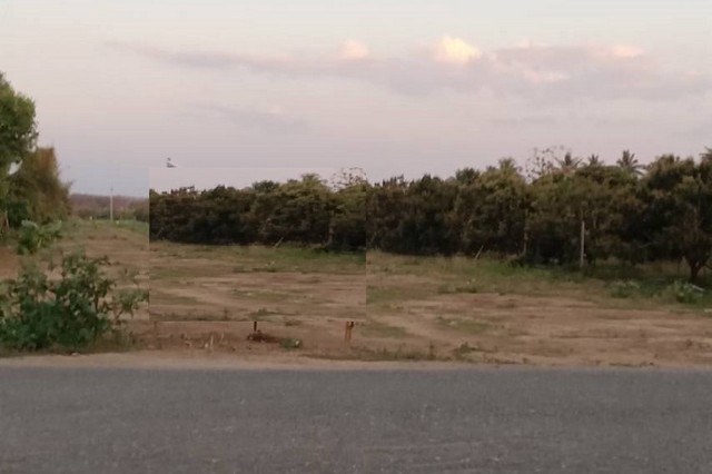 ขายที่ดินแบ่งแปลง 54ตรว. 378,000บ. ผ่อนได้ ฟรีโอน ถนน น้ำประปา ไฟฟ้า ใกล้วัดไร่ดง ต.ขัวมุง อ.สารภี เชียงใหม่