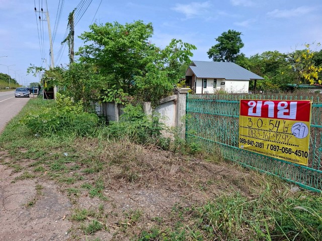 ขายที่ดินทำเลดี 3-0-54 ไร่   ในชุมชน  โพธิ์ชัย เมืองหนองคาย