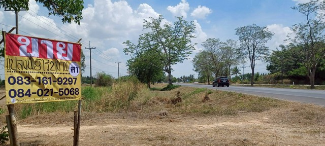 ขายที่ดินราคาถูก ติดถนนสายหลัก  8-2-0 ไร่  บ้านวัดตายม  บางกระทุ่ม พิษณุโลก