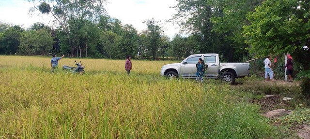 ขายที่นาราคาถูก 14-1-41 ไร่  ติดถนนคอลกรีต น้ำไหลผ่านตลอดปี  บ้านบึงกระดาน  เมืองพิษณุโลก