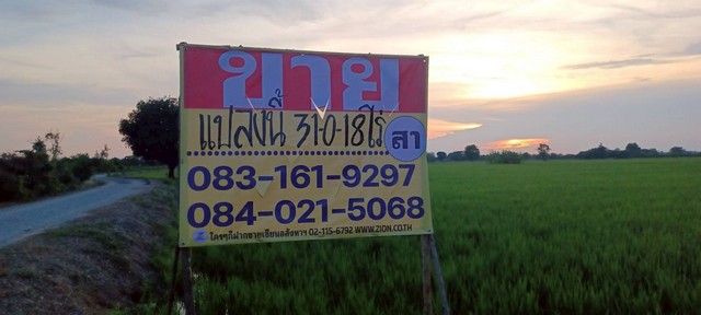 ขายที่นาราคาถูก 31-0-18 ไร่  ใกล้ชุมชน น้ำไหลผ่านตลอดปี พลายชุมพล  หลังเซ็นทรัล เมืองพิษณุโลก