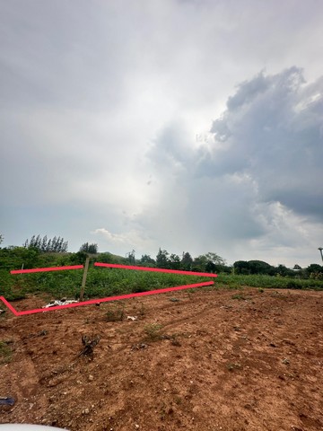 ขายที่ดินเปล่าทำเลดีมาก  เลี้ยวจากถนนหลัก 304 แค่ 200 เมตร ต.ปากช่อง อ.ปากช่อง จ.นครราชสีมา  พื้นที่ : 199.8 ตร.ว.