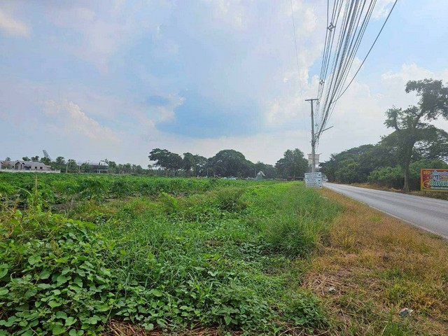 ขายที่เปล่าติดถนนหลักห้า..อำเภอดำเนินสะดวกราชบุรี ใกล้ที่ท่องเที่ยวราชบุรี ต.ศรีสุราษฎร์ อ.ดำเนินสะดวกจ.ราชบุรี