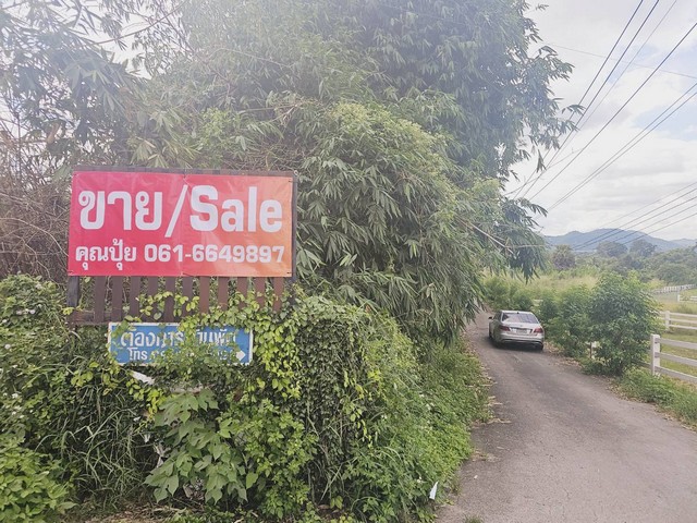 ขายที่ดินปากทางขึ้นเขาใหญ่ ห่างถ.มิตรภาพเพียง 600 เมตร โฉนดปลอดภาระ