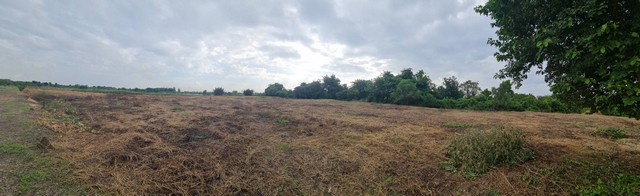 ขายที่ดินริมแม่น้ำบางปะกง อำเภอบางคล้า จังหวัดฉะเชิงเทรา เนื้อที่ 9 ไร่ 3 งาน 86 ตารางวา