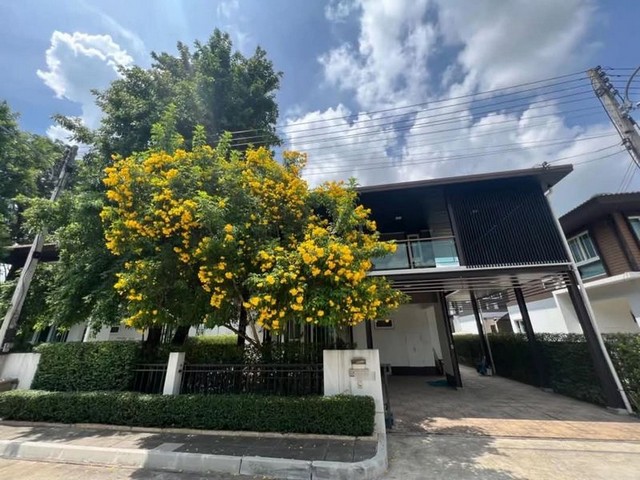 ให้เช่าบ้านเดี่ยว 2 ชั้น โมเดิร์นล้านนา ร่มรื่น โครงการ บุราสิริ สันผีเสื้อ