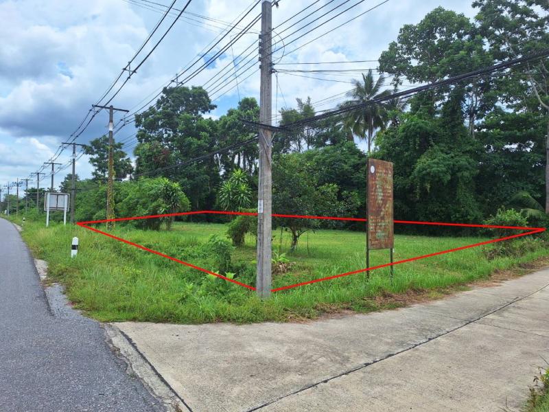 ขาย ที่ดินถมแล้ว ติดถนนใหญ่ 2 ด้าน บนสายเศรษฐกิจ จะนะ–นาทวี 