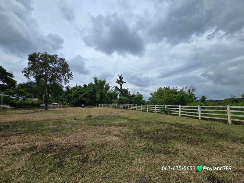 ขายที่สวยหลังแมคโครนครนายก ต.บ้านใหญ่ อ.เมืองนครนายก เดินทางง่าย ใกล้ตัวเมือง เข้าจากถนน4เลนเส้น สาริกา-นางรอง 650 เมตร