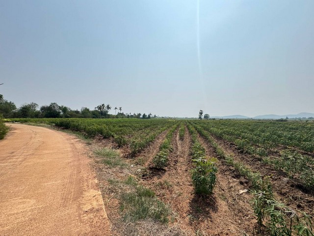 ขายที่ดินกาญจนบุรี... ขายที่ด่านมะขามเตี้ย... ขายที่ดินตำบลกลอนโดอำเภอด่านมะขามเตี้ย.. ขายที่ดินติดทางสาธารณะ ที่ดินวิวภูเขา