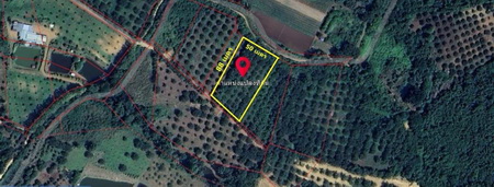 ขายที่ดิน เนื้อที่ 2-2-65.6 ไร่  ตำบลปากช่อง  อำเภอหล่มสัก  จ.เพชรบูรณ์   