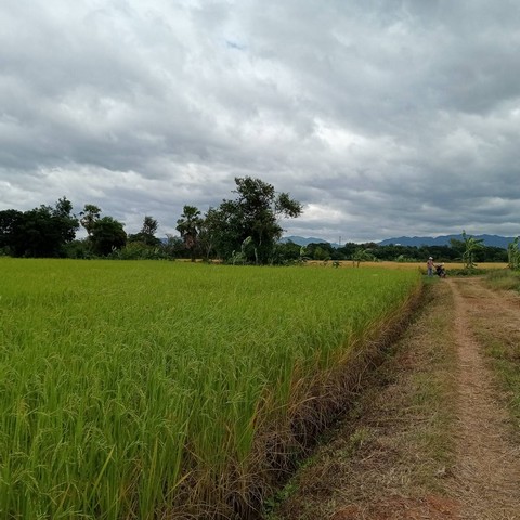 ขายที่ดินแปลงงามขนาด 17 ไร่ 1 งาน 80 ตรว. ในอำเภอเมือง จังหวัดเพชรบูรณ์ วิวสวย บรรยากาศดี!