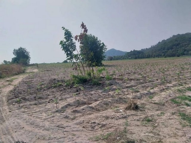 ขายที่ดินคลองกิ่ว บ้านบึง ทำเลดี ผังสีเหลือง ติดถนนใหญ่สายหลัก 331 FP-L0469