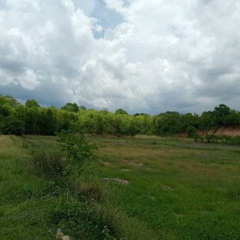 ขายที่ดินตำนาป่า อำเภอเมือง จังหวัดเพชรบูรณ์ ขนาด 12 ไร่ 1 งาน 59 ตร.ว.