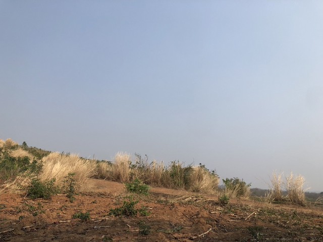 สู่ยุคเก็บทรัพย์แทนเงินเพิ่มมูลค่า ด้วยทรัพย์ดีทวีมูลค่า ธรรมชาติเนินเขา ที่ดินโฉนดแบ่งขาย หล่มเก่า เพชรบูรณ์ ใกล้ภูทับเบิก โทร 0968821857