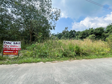 ที่ดิน 1 ไร่ ตลิ่งงาม เกาะสมุย เหมาะสร้างพูลวิลล่า 1–2 หลัง ใกล้ทะเล วิวธรรมชาติ เงียบสงบ เหมาะอยู่อาศัยหรือปล่อยเช่า