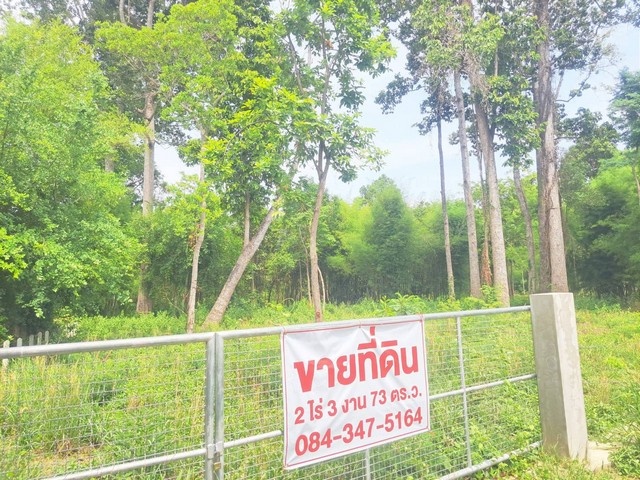 ขายที่ดินสำหรับคนรักต้นไม้มีต้นไม้ใหญ่ อายุ 100 ปี ตำบลดูน อำเภอกันทรารมย์ จังหวัดศรีสะเกษ