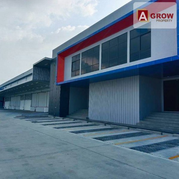 ให้เช่าโกดังใกล้ท่าเรือแหลมฉบัง Freezone  สีเหลืองลาย สามารถทำการผลิตได้
