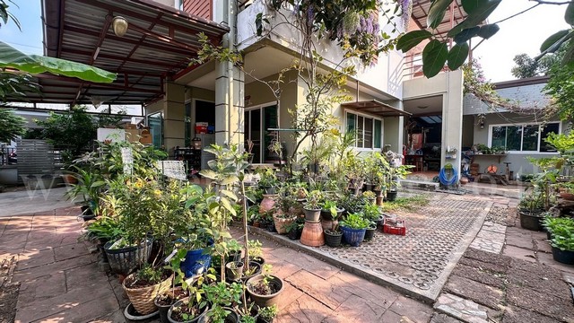 P1 บ้านเดี่ยว หมู่บ้าน โชคประชา เฟส 2 หลังมุม แปลงใหญ่ สภาพดี