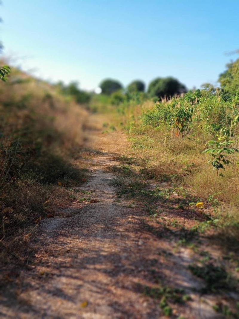 ที่ดินเปล่า ติดแม่น้ำโขง ใกล้ที่ว่าการอำเภอ และ รพ.เขมราฐ, อุบลราชธานี