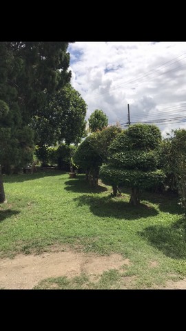 ขายบ้านพร้อมที่ดิน อำเภอสารภี จังหวัดเชียงใหม่ เนื้อที่ 1 ไร่ 2 งาน 32 ตารางวา