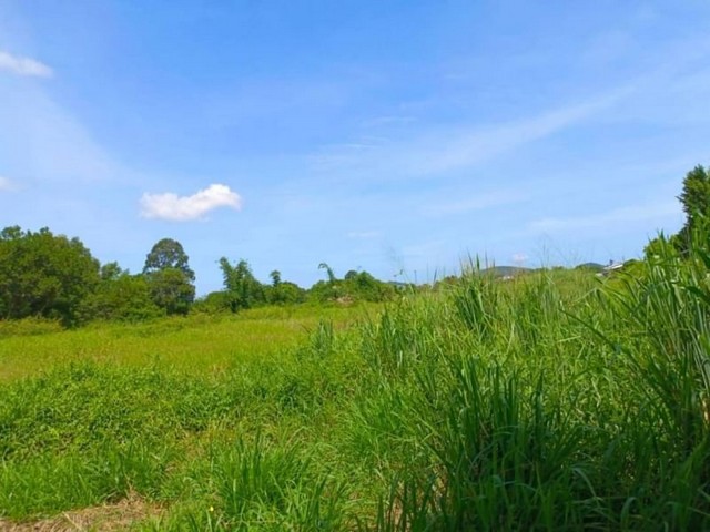 ขายที่ดินเปล่า หนองขาม ศรีราชา ทำเลดี ใกล้ห้างเจปาร์ค FP-L0480