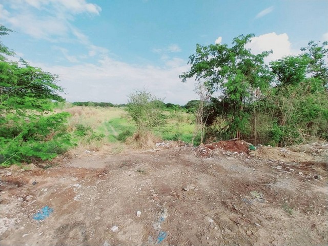 ขายที่ดินทำเลทอง 13-3-80ไร่  นครสวรรค์ตก  ใจกลางเมืองนครสวรรค์  ZK424