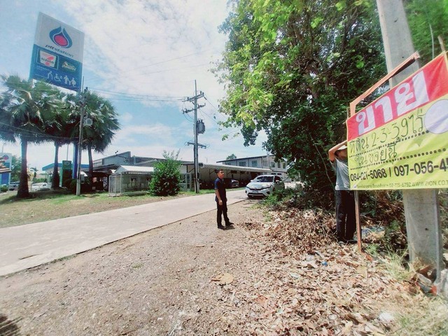 ขายที่ดินเปล่า 2-3-39.7 ไร่ หลังปั๊ม ปตท. ช่อกระถิน นครสวรรค์  ติดชุมชน ใกล้ถนนใหญ่ เข้า-ออกสะดวก 