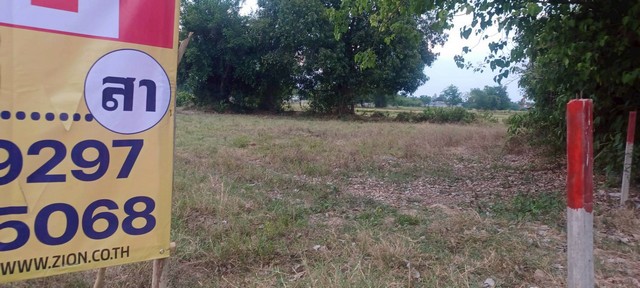 ขายที่ดิน ราคาถูก 3-2-12 ไร่  ซ.ทองเทียน บ้านสระโคล่  ต.หัวรอ  เมืองพิษณุโลก