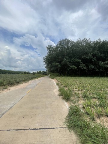 ขายที่ดินเขาคันทรงศรีราชา 29- 1-3 ไร่ ผังม่วงลาย ห่างท่าเรือแหลมฉบัง 34 กม.