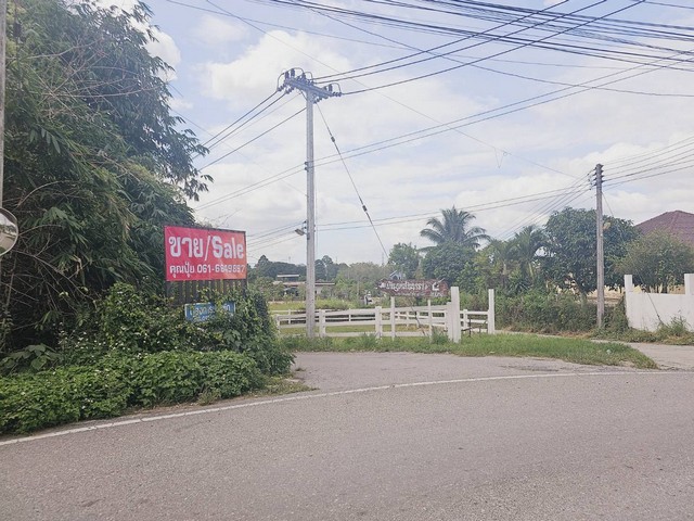 ขายที่โคราช ขายที่เปล่าปากช่อง ขึ้นเขาใหญ่ห่างถ.มิตรภาพเพียง600เมตร นครราชสีมาเนื้อที่  96.4 ตร.ว