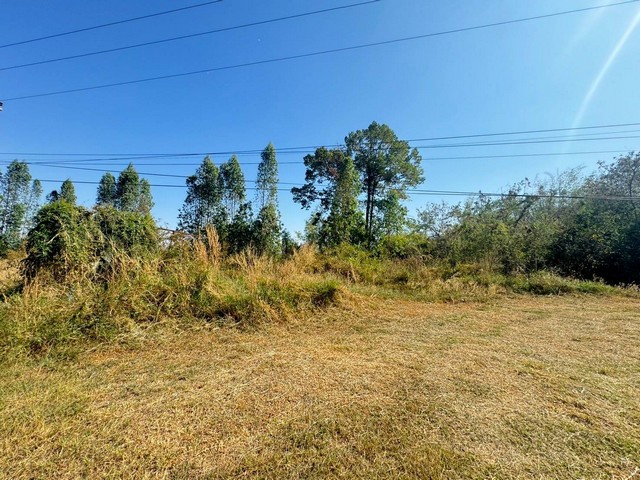 ขายที่เปล่าชัยภูมิขายที่แบ่งล็อค ขายที่เปล่าตำบลนาเสียวชัยภูมิ   ต.นาเสียว อ.เมืองชัยภูมิ จ.ชัยภูมิ เนื้อที่ 336.6 ตร.ว