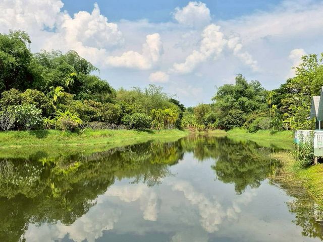 ขาย 15 ล้าน 12-3-24 ตรว. รีสอร์ท และบ้านพัก #เมืองเลน #สันทราย บรรยากาศดี เงียบสงบ สิ่งแวดล้อมเป็นธรรมชาติ เดินทางสะดวก เข้า-ออกง่าย