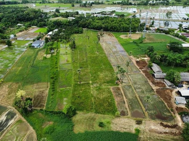 ขายที่ดิน 3-3-4ไร่ 1.7ลบ. ฟรีโอน ถนนคอนกรีต น้ำประปา ไฟฟ้า หมู่3 ต.ห้วยยาบ อ.บ้านธิ ลำพูน