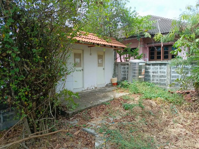 ขายที่ดินแถมบ้าน ม.เลคไซด์ ลำลูกกา คลอง 9 ตำบลบึงทองหลาง  เหมาะสำหรับอยู่อาศัย หรือปลูกสร้างเพิ่มเติม