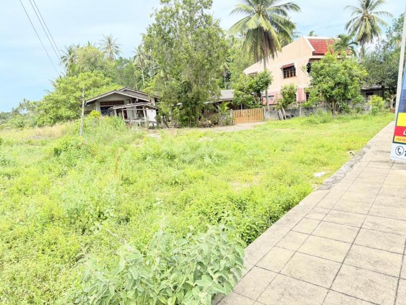 ขาย:ที่ดิน สวย ทำเลทอง โอกาสดี ทำเลทอง ที่ดินติดถนนใหญ่