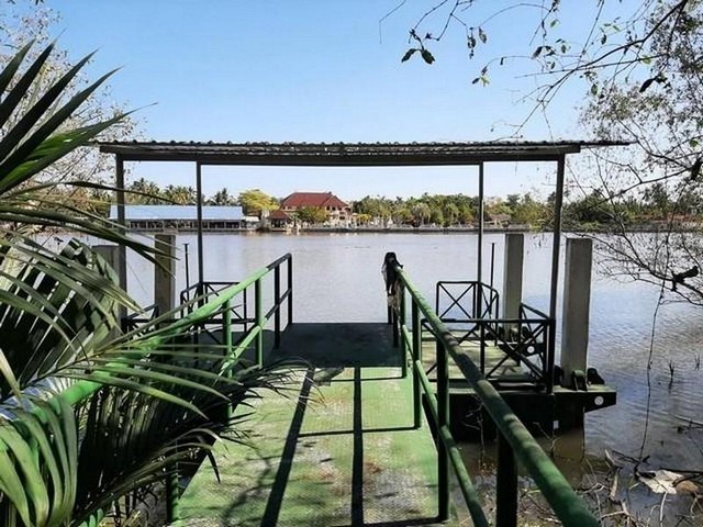 ขายที่ดินติดแม่น้ำแม่กลอง1-3-99 ไร่และที่งอกริมตลิ่งพร้อมสิ่งปลูกสร้างย่านท้ายหาดแม่กลองสมุทรสงคราม