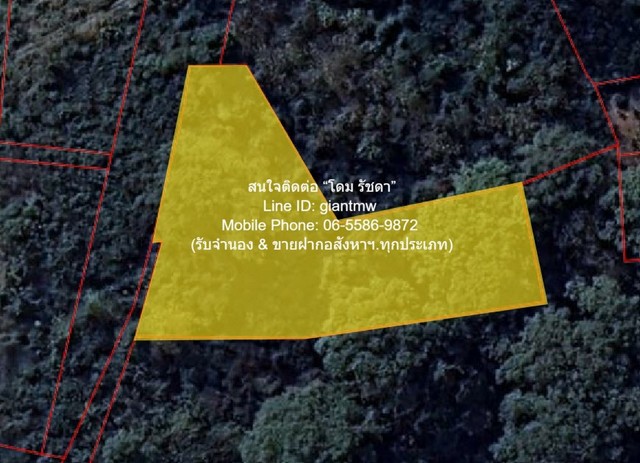 พื้นที่ดิน ขายที่ดินเปล่า 2-0-64.1 ไร่ ท่าโพธิ์ จ.พิษณุโลก ราคา 1.60 ล้านบาท  พื้นที่เท่ากับ 864 ตาราง.วา  1600000 บาท สวยที่สุดในย่าน เป็นที่ดินผืนรูปทรงอิสระ มีทางสาธารณะประโยชน์ มีระบบสาธารณูปโภคครบถ้วน (ถนน ไฟฟ้า ประปา และอินเตอร์เน็ต) อยู่ใกล้แม