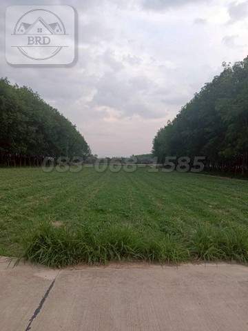 ขายที่ดินสี่ม่วงลายสร้างโรงงาน เขาคันทรง เนื้อที่ 43-1-76 ไร่  ขายไร่ละ 3.2 ล้าน  ศรีราชา ชลบุรี