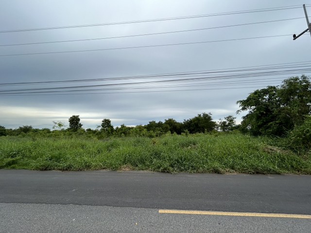 ขายที่ดินแปลงสวย ถมแล้ว เนื้อที่ 7 ไร่ 88 ตรว. ใกล้มอเตอร์เวย์บางปะอิน  ห่างจากถนน highway  เพียง 1.67 กม.  อำเภอหนองแค จังหวัดสระบุรี