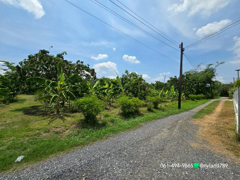 ขายที่สวน 2 ไร่ ต.เขาพระ อ.เมืองนครนายก โฉนดครุฑแดงพร้อมโอน มีบ้านพักคนงาน 1 หลัง เข้าจากถนนหลัก สุรรณิการ์ 2 กม.