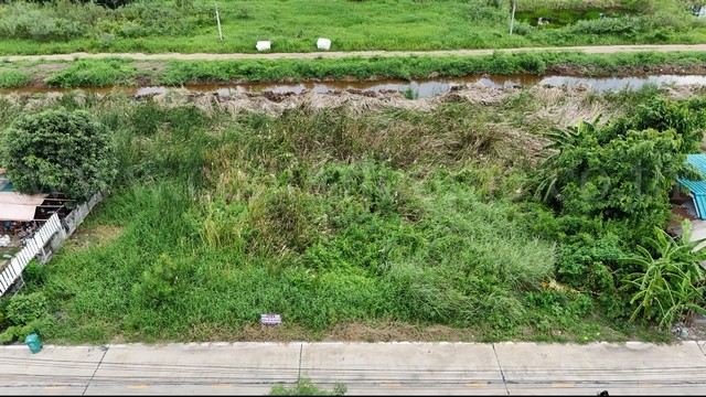 ที่ดินเปล่า 120 ตารางวา คลองสี่ - คลองหลวง ซอยชมทุ่งทั้งแปลง