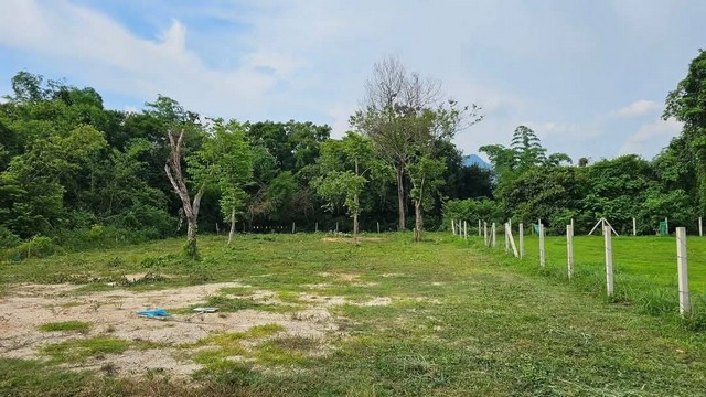 อยากได้วิวเขา มาทางนี้ วิวเขาสวยๆ ต.สาริกา อ.เมือง จ.นครนายก 266.7 ตร.ว 2,133,600.- บาท