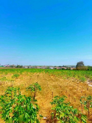 ขายที่ดินบ่อวินศรีราชา ผังสีเหลือง บนเนื้อที่ดิน  18  ไร่มีทางเข้า-ออกหลายทาง สะดวกในการขนส่ง