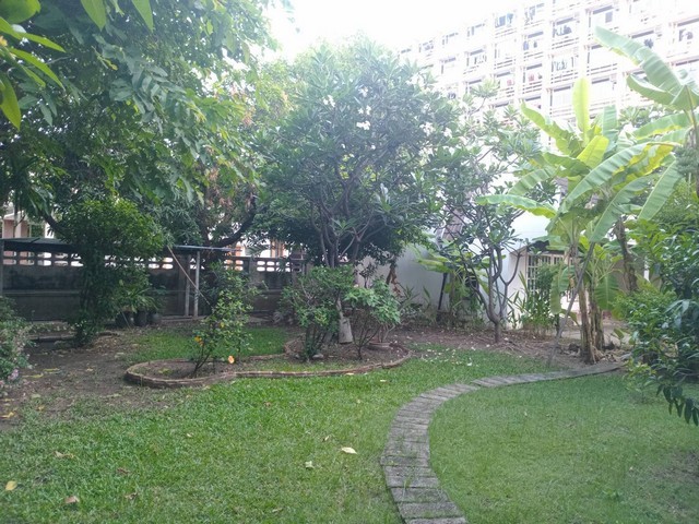 ให้เช่าบ้านเดี่ยวเนื้อที่  463.70ตร.ว. ใกล้ MRT คลองเตย เพียง5นาที  ถ. เชื้อเพลิง  ย่านสีลม สาทร ถนนวิทยุ ติดกับทางด่วนพระราม 4  ทุ่งมหาเมฆ