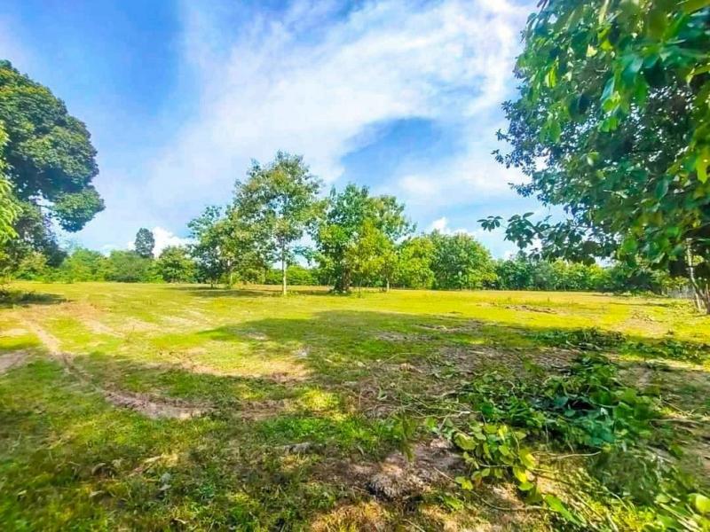 ขายที่ดิน 1.5 ล้าน/ไร่ 19-3-71.9 ตรว. #วิวภูเขา #ดอยสะเก็ด จ.เชียงใหม่ โซนสี: ขาว-เขียว เดินทางสะดวก ห่างจากตัวเมืองเชียงใหม่เพียง 25 นาที