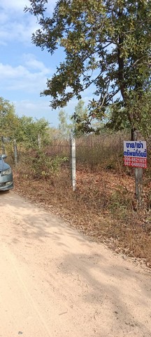 หน้าฝนมีทรัพย์ดีเสดชื่นหัวใจ ขายที่สวยติดทางหลวง1107 บ้านตาก จ.ตาก คมนาคมสะดวก ไร่ละ 300000 ต.ตากตก อ.บ้านตาก  จ.ตาก  0837124115