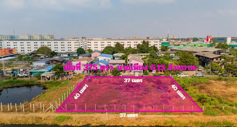 ขายที่ดิน ซอยเทศบาลบางปู 71 สมุทรปราการ    พื้นที่สีม่วง ที่แปลงสวย